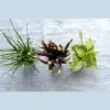 Andrea Meyer Catering